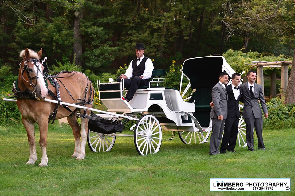 wedding carriage - men
